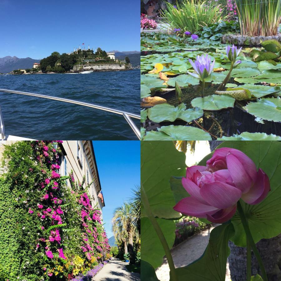 Lakeside Lago Maggiore Monvalle Экстерьер фото